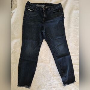 Refuge Dark Blue Ankle Jeans